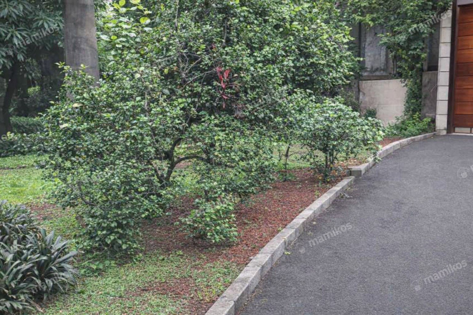 Rumah Sertifikat SHM 1 Lantai Pondok Labu Jakarta Selatan - Photo 3