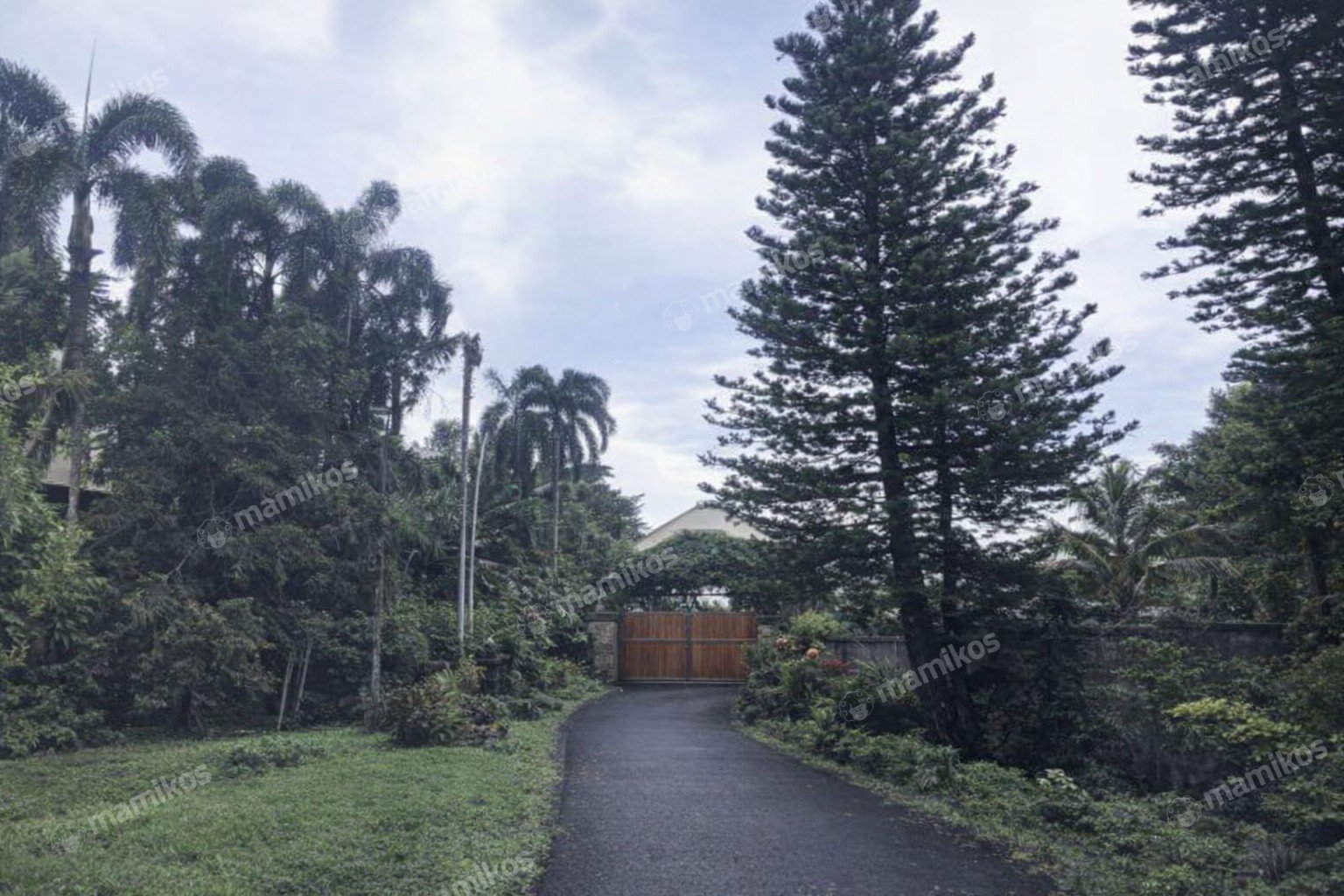 Rumah Sertifikat SHM 1 Lantai Pondok Labu Jakarta Selatan - Photo 5