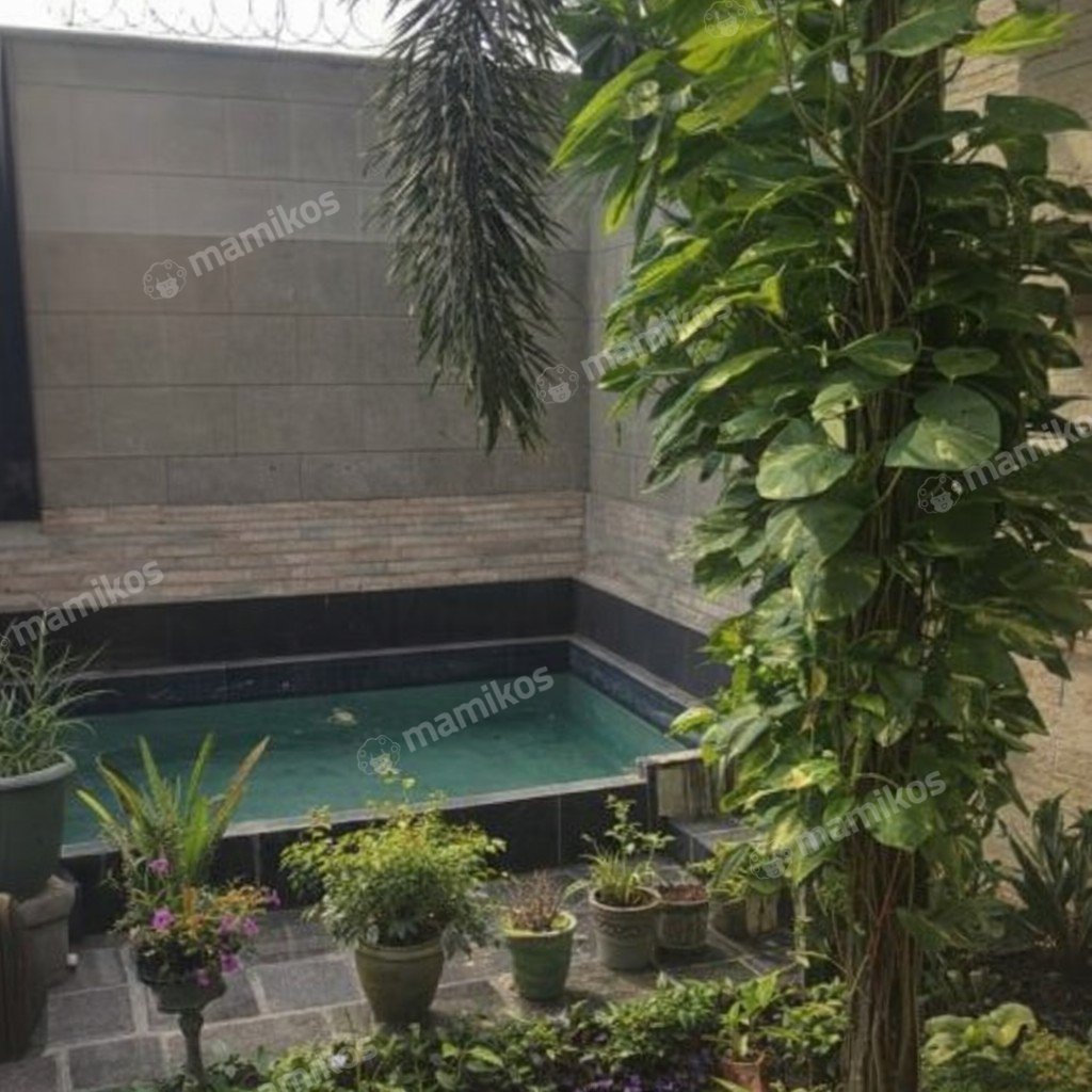 Rumah Sertifikat SHM 5 Kamar Tidur 8 Kamar Mandi Cipete Jakarta Selatan - Photo 2