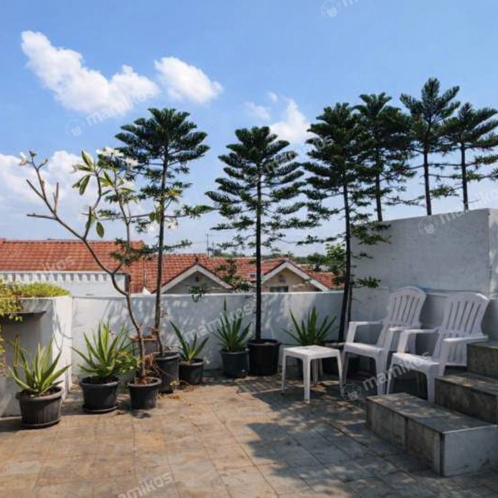 Rumah Sertifikat SHM 6 Kamar Tidur 4 Kamar Mandi Pondok Kelapa Jakarta Timur - Photo 4