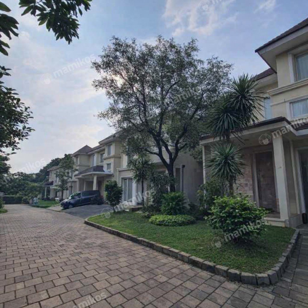 Rumah 30KT 30KM Pejaten Jakarta Selatan - Photo 5