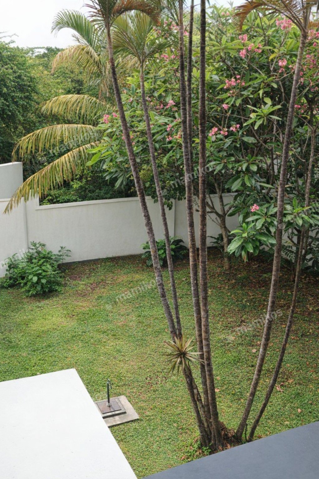 Rumah Sertifikat SHM 1 Lantai Kemang Jakarta Selatan - Photo 2