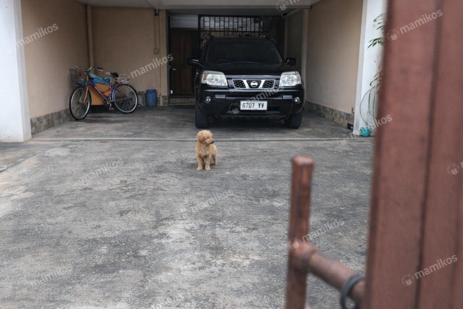 Rumah Sertifikat SHM 6 Kamar Tidur 2 Kamar Mandi Cipinang Melayu Jakarta Timur - Photo 5