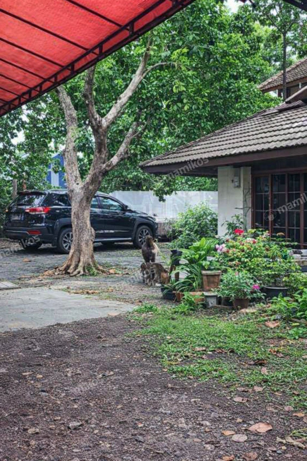 Rumah Sertifikat SHM 6 Kamar Tidur 3 Kamar Mandi Bambu Apus Jakarta Timur - Photo 4