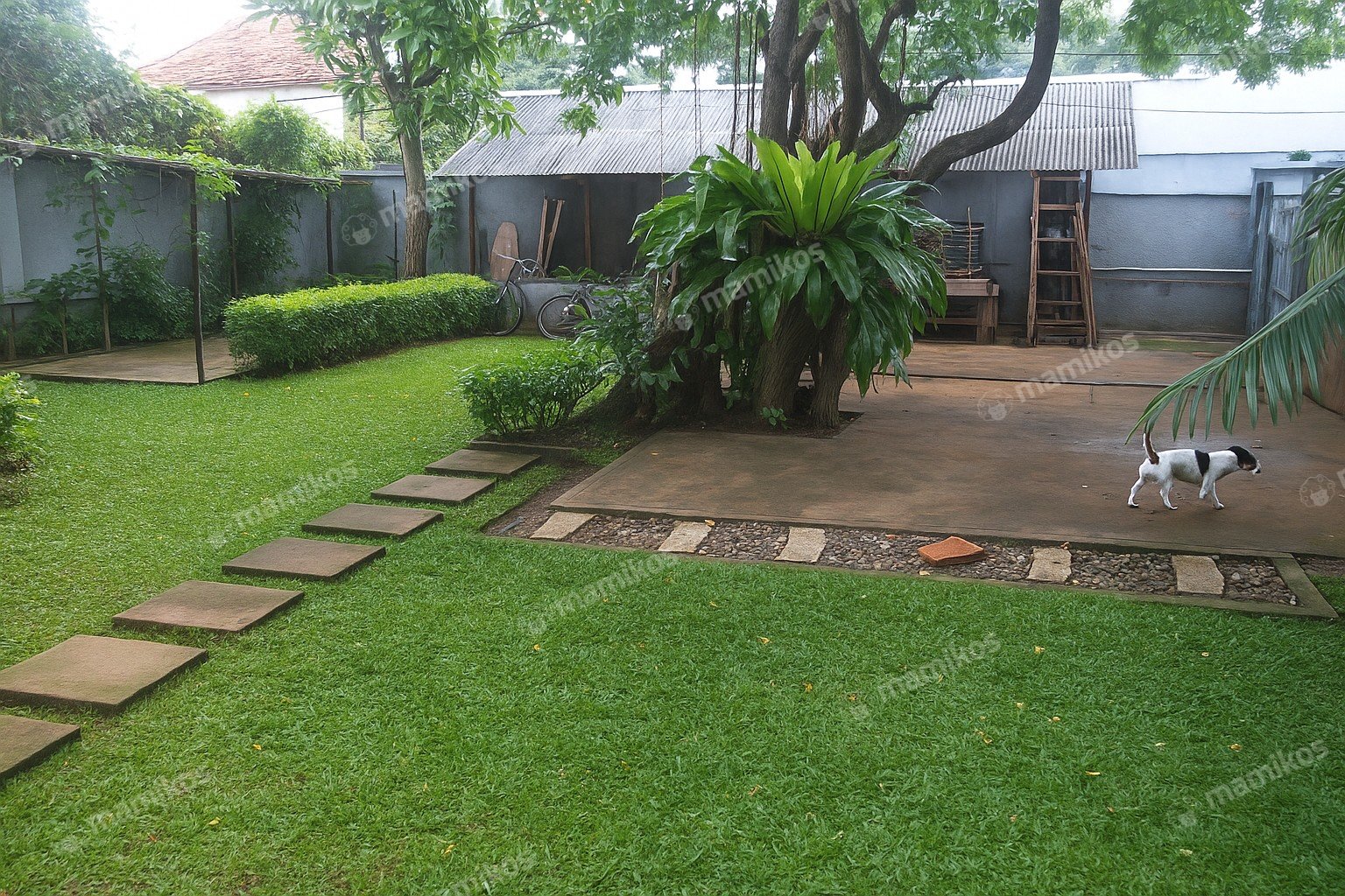 Rumah Sertifikat SHM 4 Kamar Tidur 3 Kamar Mandi Kebayoran Baru Jakarta Selatan - Photo 3