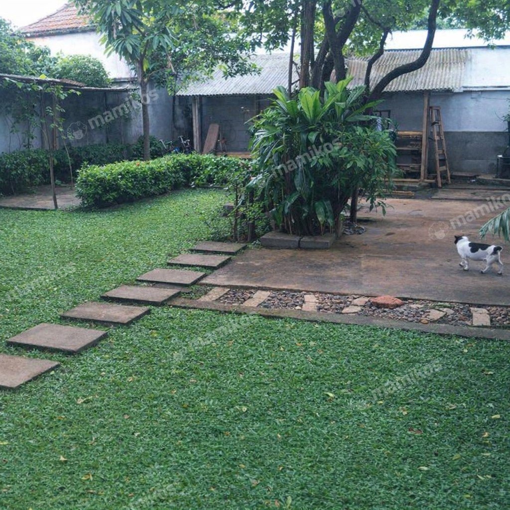 Rumah Sertifikat SHM 4 Kamar Tidur 3 Kamar Mandi Kebayoran Baru Jakarta Selatan - Photo 4