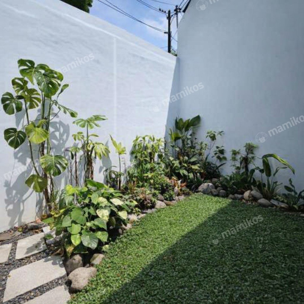 Rumah Sertifikat SHM 3 Kamar Tidur 3 Kamar Mandi Cilandak Jakarta Selatan - Photo 2