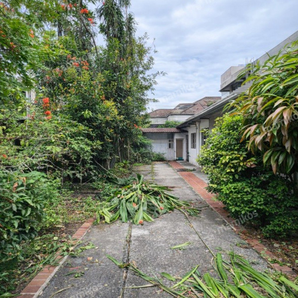 Rumah 1 Lantai Cilandak Jakarta Selatan - Photo 3