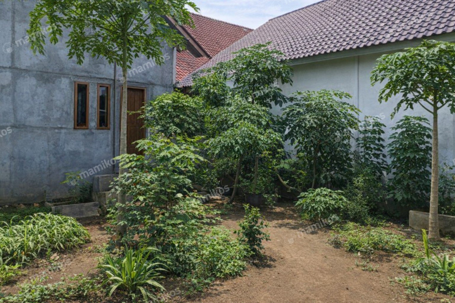 Rumah Sertifikat SHM 5 Kamar Tidur 2 Kamar Mandi Pisangan Lama Jakarta Timur - Photo 4