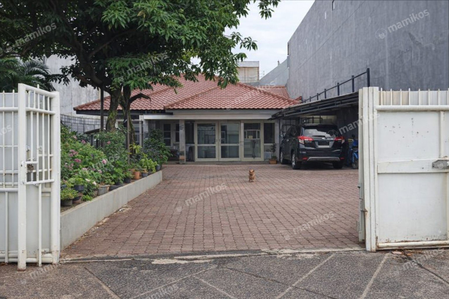 Rumah Sertifikat HGB 3 Kamar Tidur 2 Kamar Mandi Sunter Jakarta Utara
