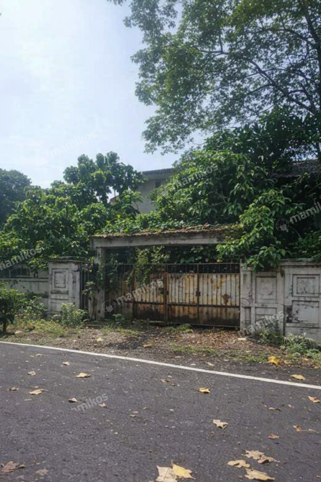 Rumah Sertifikat SHM 7 Kamar Tidur 5 Kamar Mandi Rawajati Jakarta Selatan - Photo 3