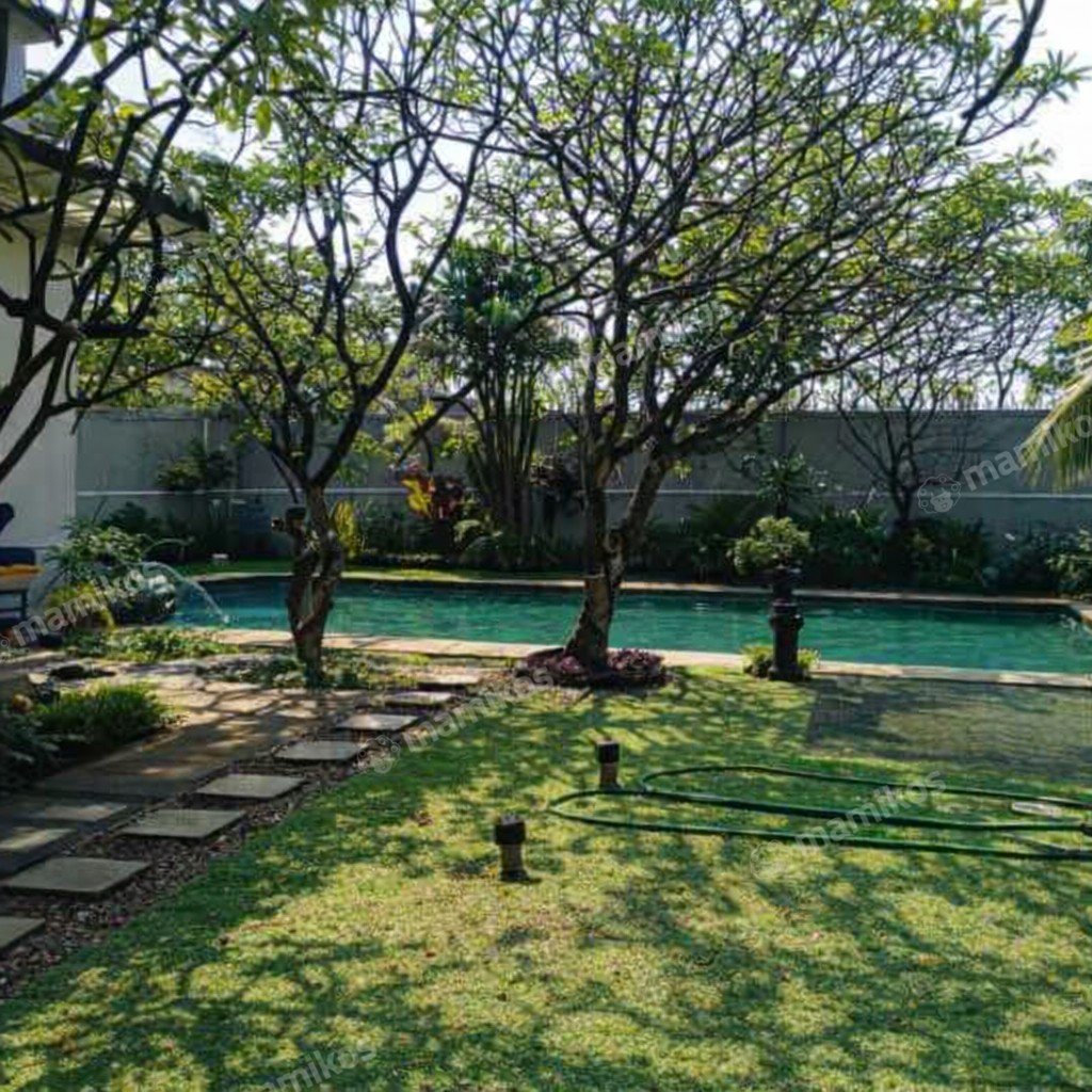 Rumah Sertifikat SHM 4 Kamar Tidur 3 Kamar Mandi Cipete Jakarta Selatan - Photo 3