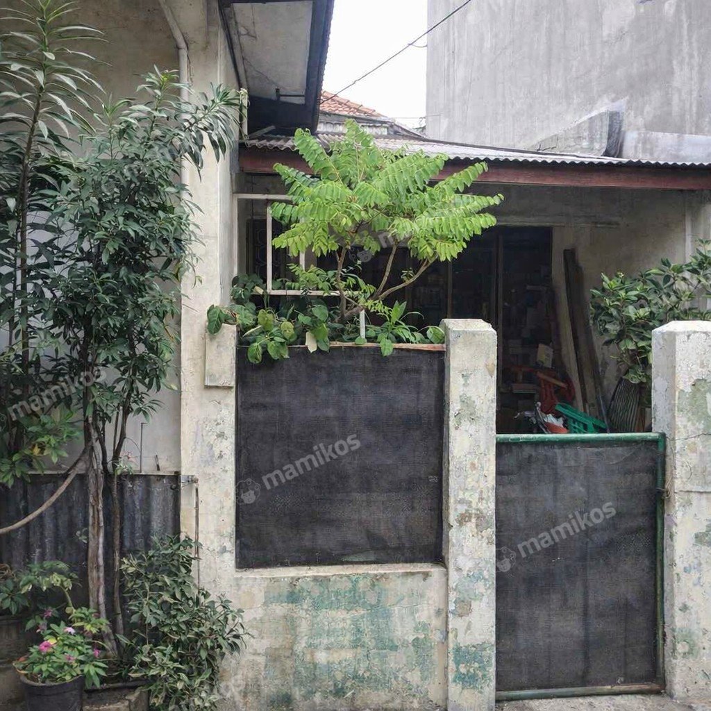 Rumah Sertifikat SHM 3 Kamar Tidur 1 Kamar Mandi Duren Sawit Jakarta Timur - Photo 2