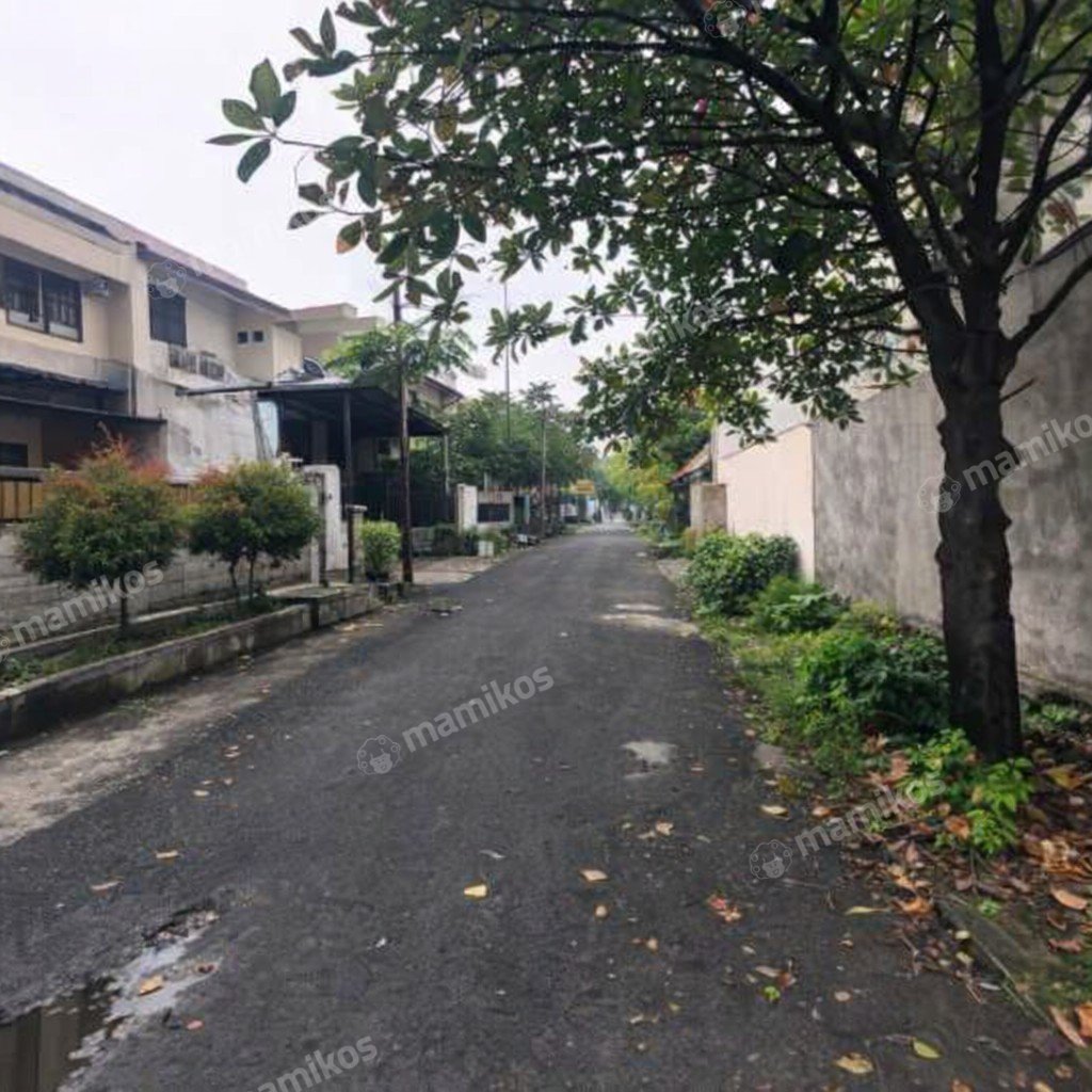 Rumah Sertifikat SHM 5 Kamar Tidur 3 Kamar Mandi Cipinang Jakarta Timur - Photo 5