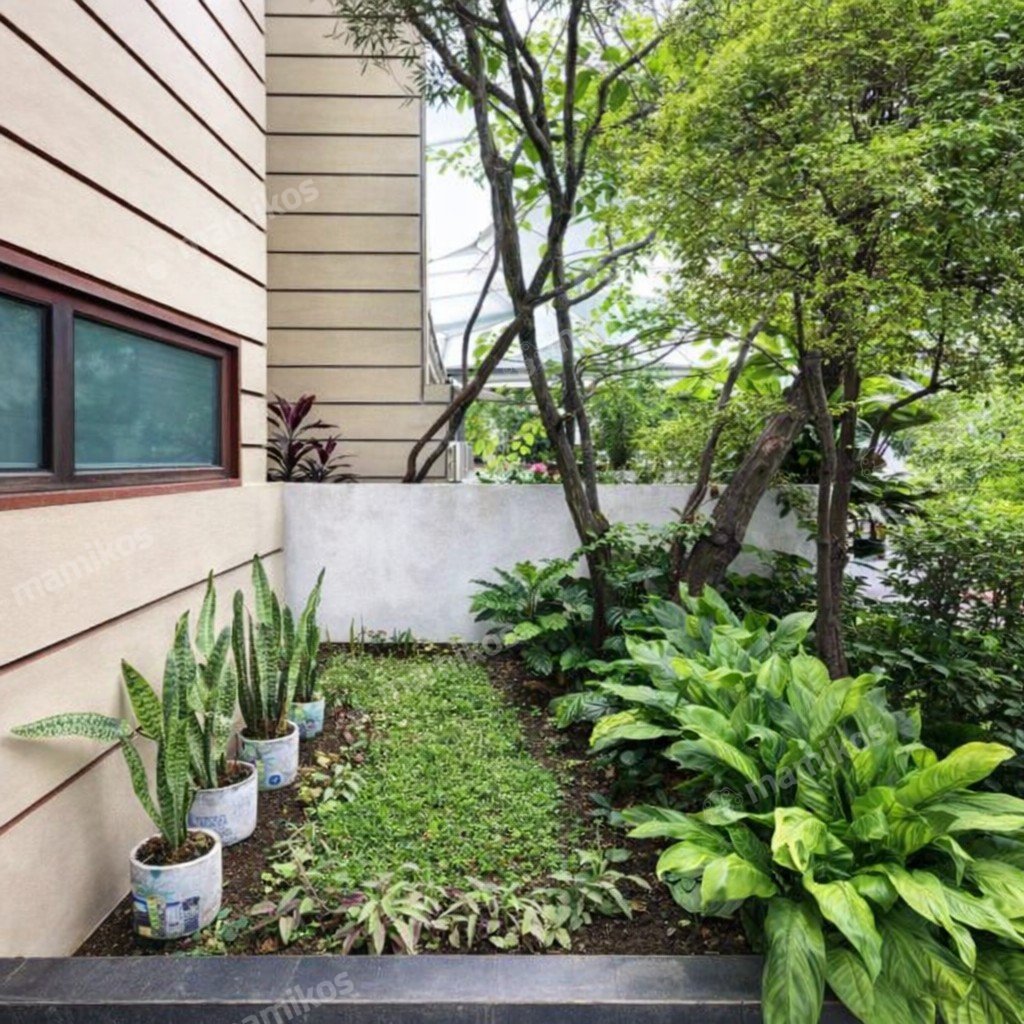 Rumah Sertifikat SHM 4 Kamar Tidur 3 Kamar Mandi Kebayoran Baru Jakarta Selatan - Photo 5