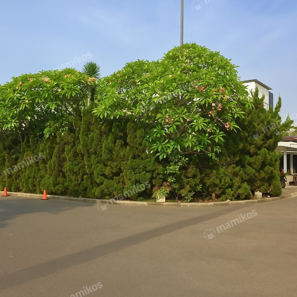 Rumah Sertifikat SHM 3 Kamar Tidur 3 Kamar Mandi Permata Hijau Jakarta Selatan - Photo 4