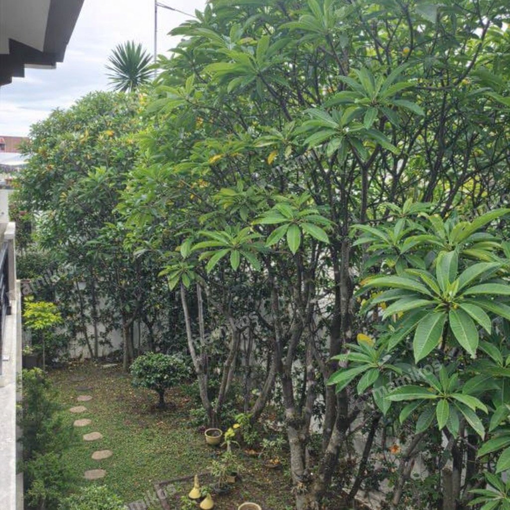 Rumah Sertifikat SHM 3 Kamar Tidur 3 Kamar Mandi Permata Hijau Jakarta Selatan - Photo 5