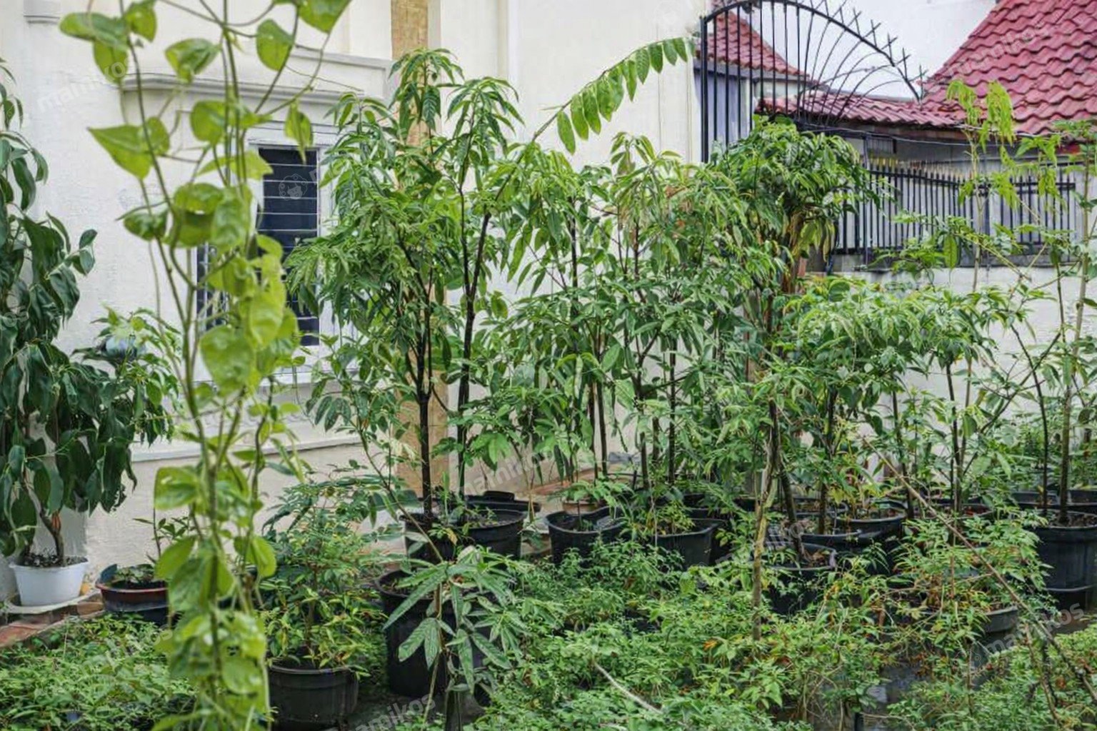 Rumah 6KT 3KM Taman Meruya Jakarta Barat - Photo 5