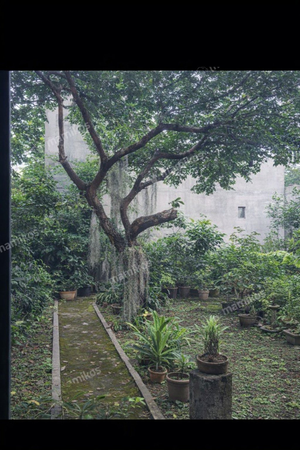 Rumah Sertifikat SHM 8 Kamar Tidur 6 Kamar Mandi Pondok Pinang Jakarta Selatan - Photo 4