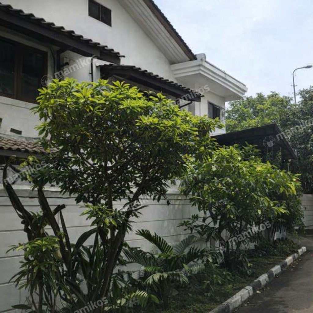 Rumah Sertifikat SHM 4 Kamar Tidur 3 Kamar Mandi Pulomas Jakarta Timur - Photo 2