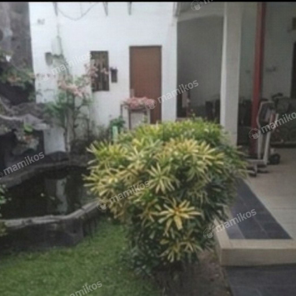 Rumah Sertifikat SHM 3 Kamar Tidur 2 Kamar Mandi Pondok Kelapa Jakarta Timur - Photo 4