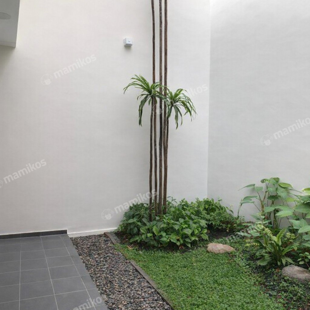 Rumah Baru Sertifikat SHM 3 Kamar Tidur Pluit Jakarta Utara - Photo 3