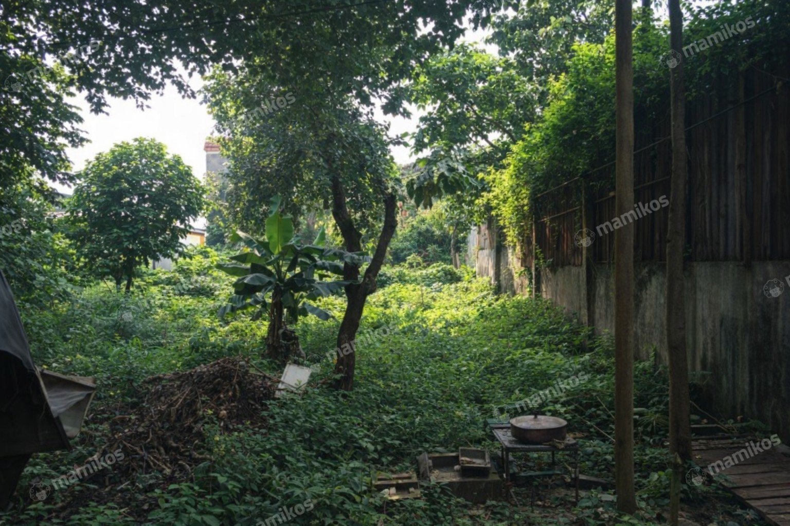 Rumah Sertifikat SHM 2 Kamar Tidur 1 Kamar Mandi Kembangan Jakarta Barat - Photo 2