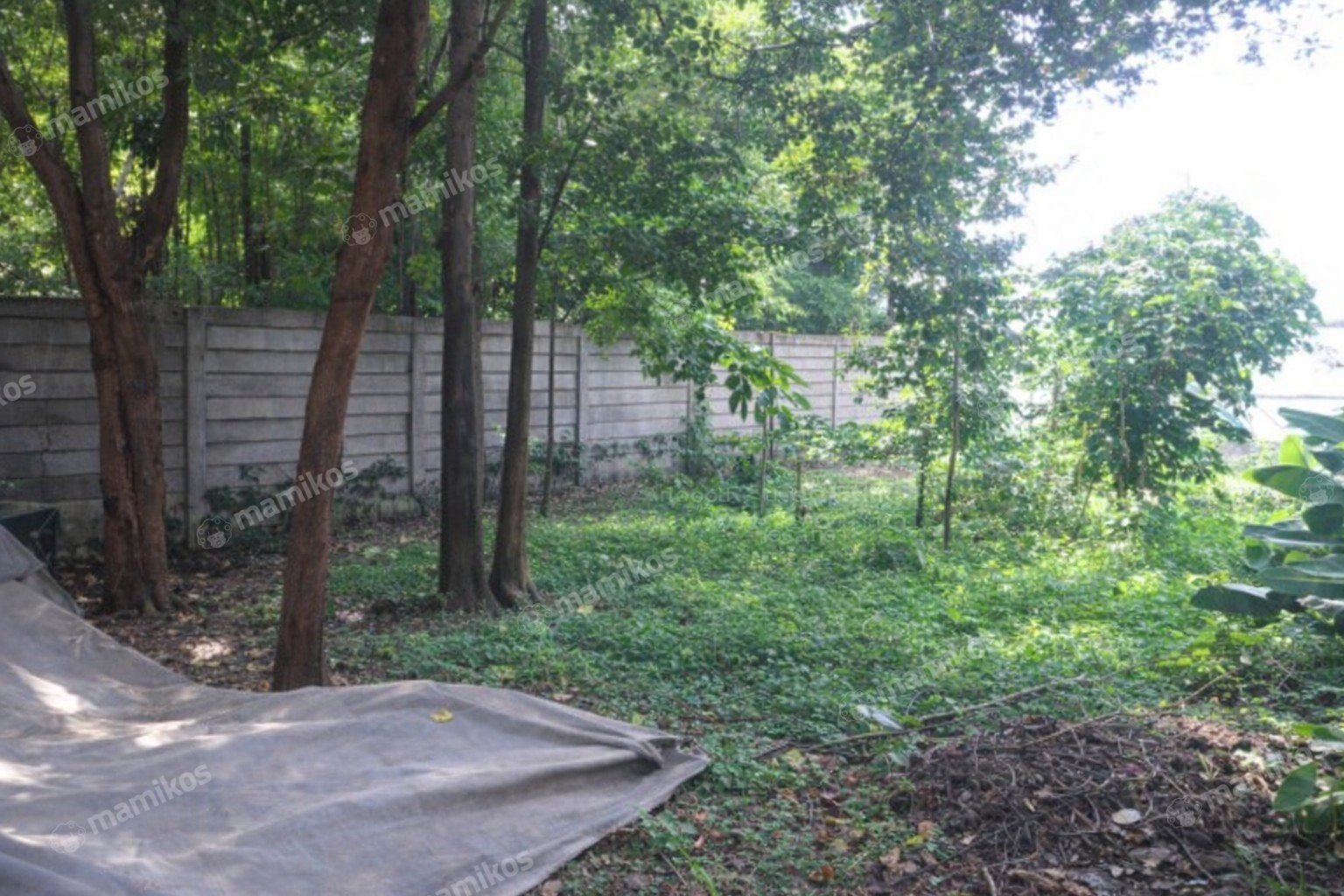 Rumah Sertifikat SHM 2 Kamar Tidur 1 Kamar Mandi Kembangan Jakarta Barat - Photo 3
