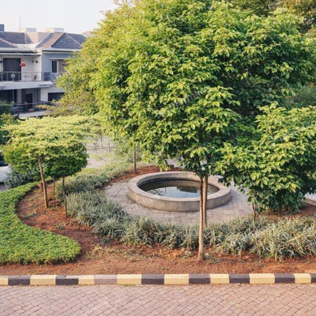 Rumah Sertifikat SHM 5 Lantai Cengkareng Jakarta Barat - Photo 4