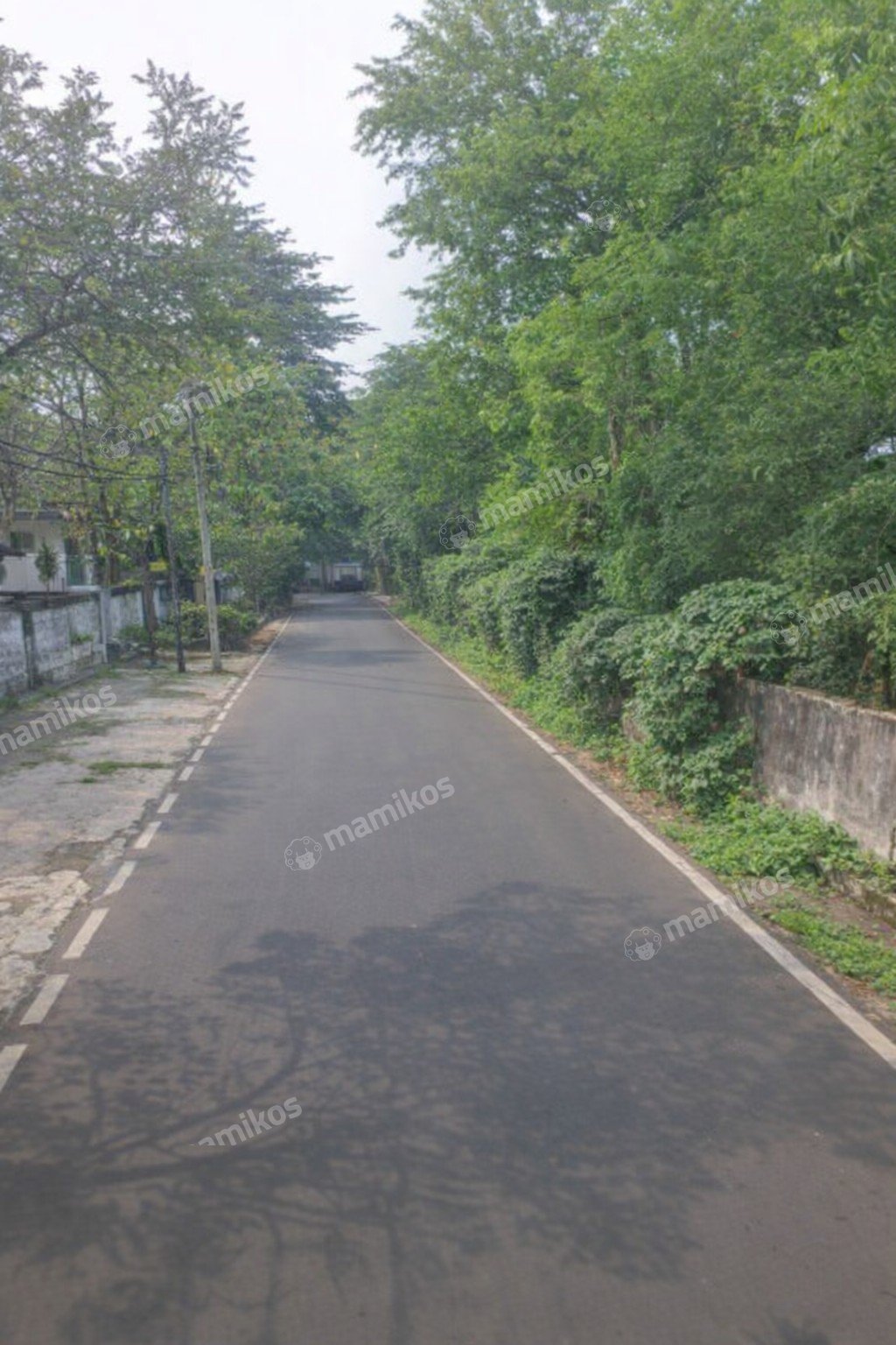 Rumah Sertifikat SHM 4 Kamar Tidur 3 Kamar Mandi Kayu Putih Jakarta Timur - Photo 3