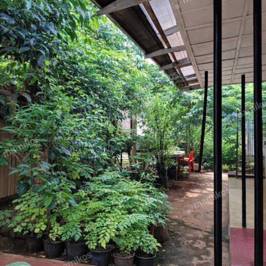 Rumah Sertifikat SHM 3 Kamar Tidur 2 Kamar Mandi Kebayoran Baru Jakarta Selatan - Photo 3