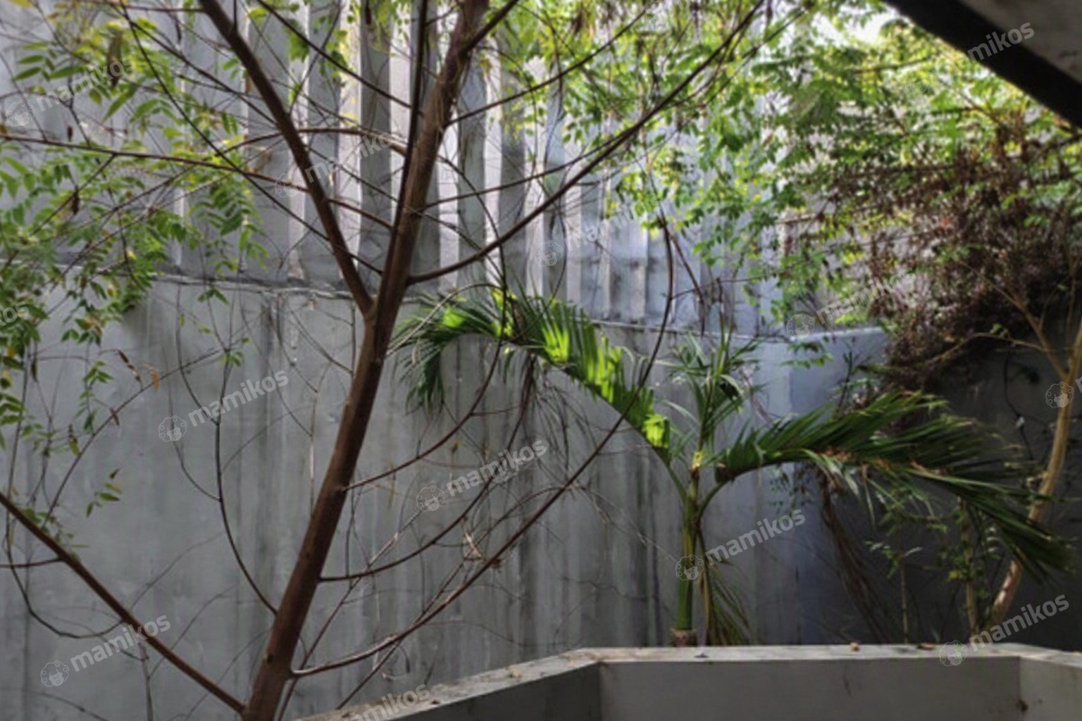 Rumah Sertifikat SHM 3 Kamar Tidur 2 Kamar Mandi Kelapa Gading Jakarta Utara - Photo 2
