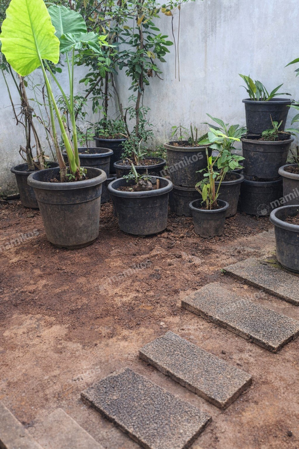 Rumah Sertifikat SHM 3 Kamar Tidur 4 Kamar Mandi Rawa Buaya Jakarta Barat - Photo 2