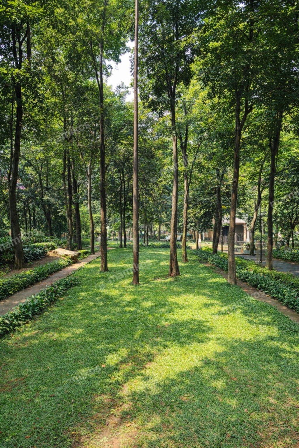 Rumah Sertifikat SHM 4 Kamar Tidur 4 Kamar Mandi Kebayoran Baru Jakarta Selatan - Photo 4