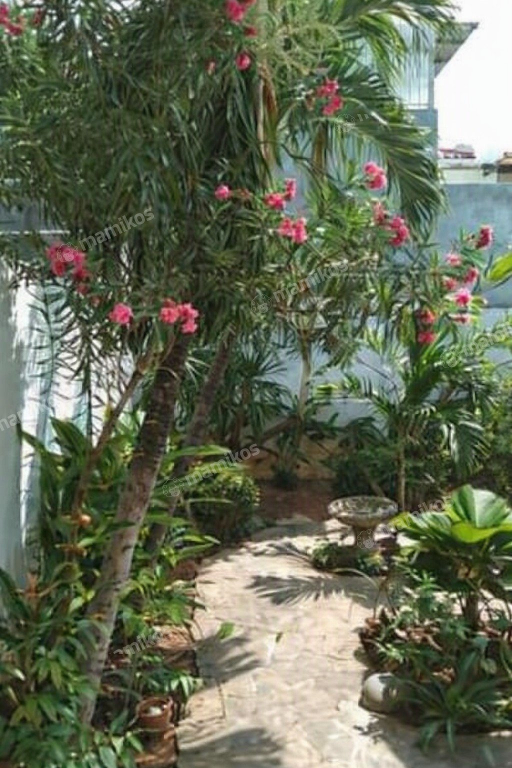Rumah Sertifikat SHM 5 Kamar Tidur 4 Kamar Mandi Pantai Indah Kapuk Jakarta Utara - Photo 5