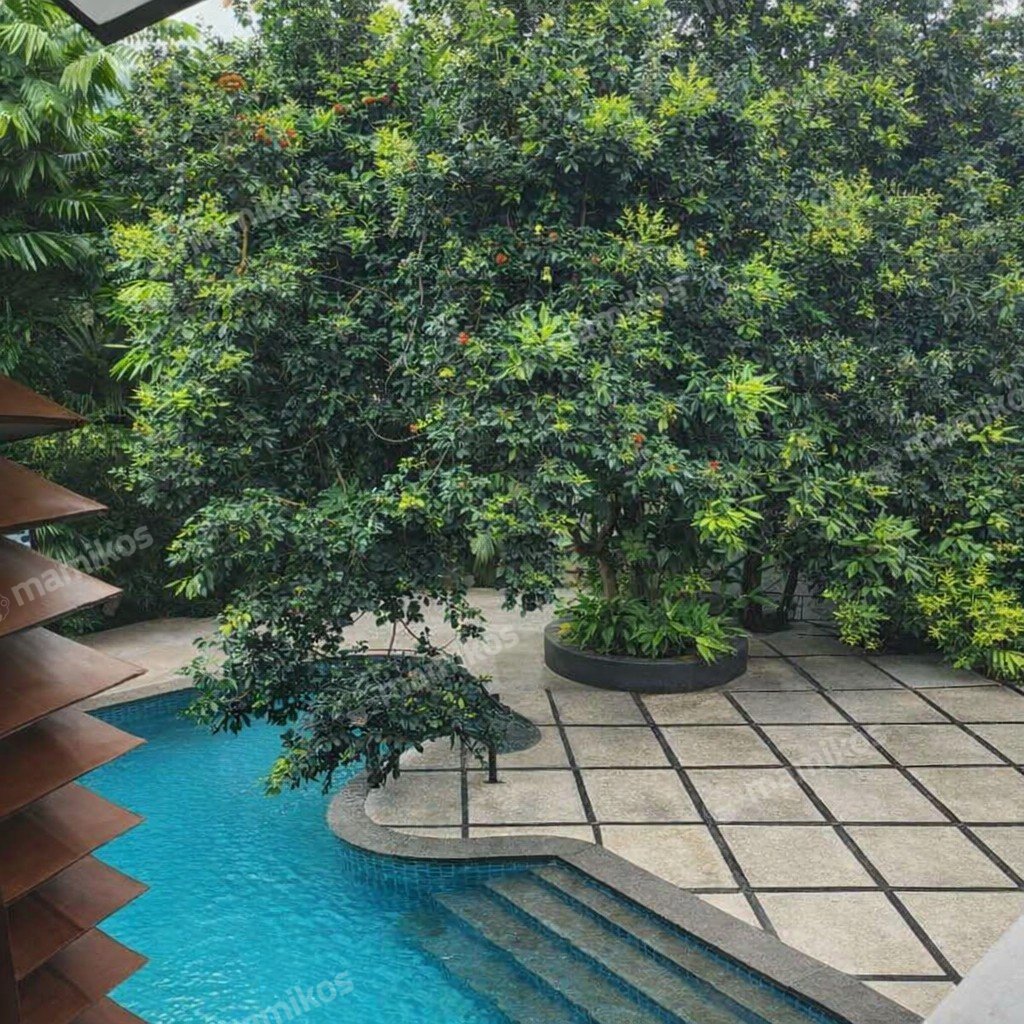 Rumah Sertifikat SHM 10 Kamar Tidur 6 Kamar Mandi Cilandak Jakarta Selatan - Photo 3