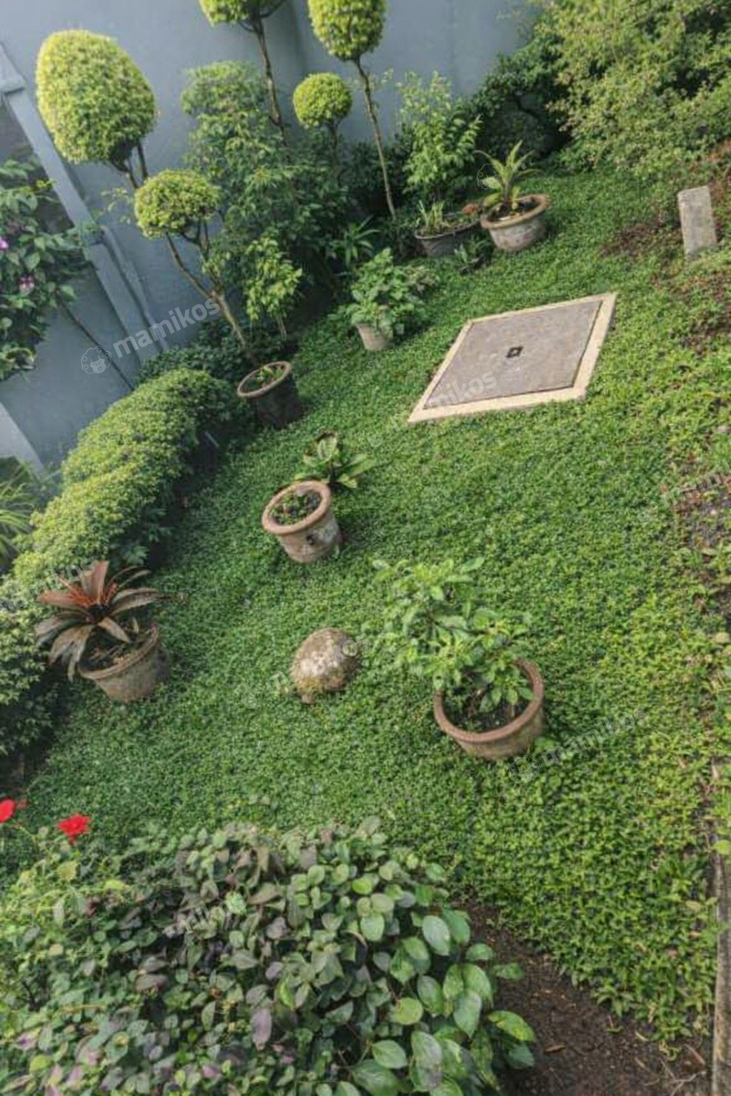 Rumah Sertifikat SHM 5 Kamar Tidur 5 Kamar Mandi Sunter Jakarta Utara - Photo 2